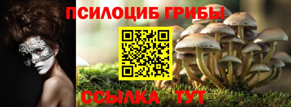 КОКАИН Можайск