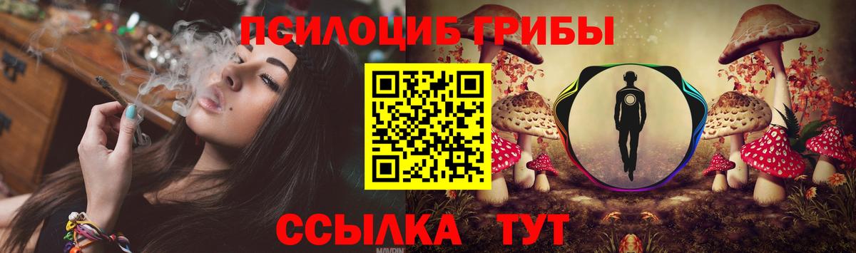 Галлюциногенные грибы Psilocybine cubensis  Вход с VPN  Галлюциногенные грибы мухоморы  Можайск 